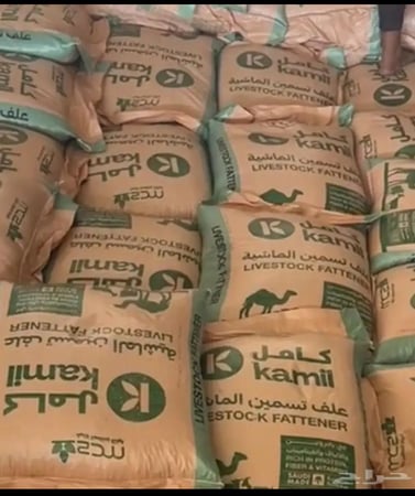 مكعب الصوامع بروتين ١٥