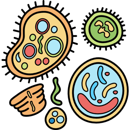 استراتيجيات فعّالة ومهارات متقدمة لتدريس مقررات العلوم والأحياء