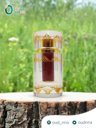 Old Indian Kalakasi Agarwood Oil in a tree log in nature