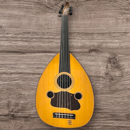 عود كهربائي موسيقي ناجريان فيكين ناجريان