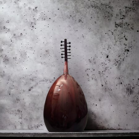 عود موسيقي - عود فتحي امين 2010