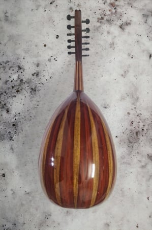 عود موسيقي - شريف حجاج 2065