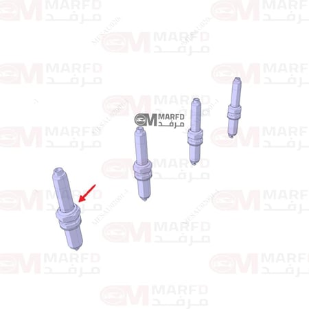 بواجي شانجان ايدو 2025