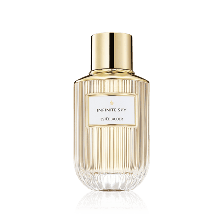 عطر استي لودر إنفينت سكاي أو دو برفيوم 100 مل