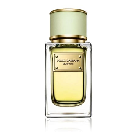 عطر دولتشي أند غابانا فيلفت ميموسا بلوم أو دو بارفيوم 50مل
