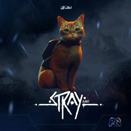 ستراي : Stray