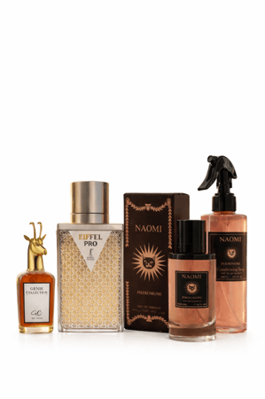 بكج التأسيس