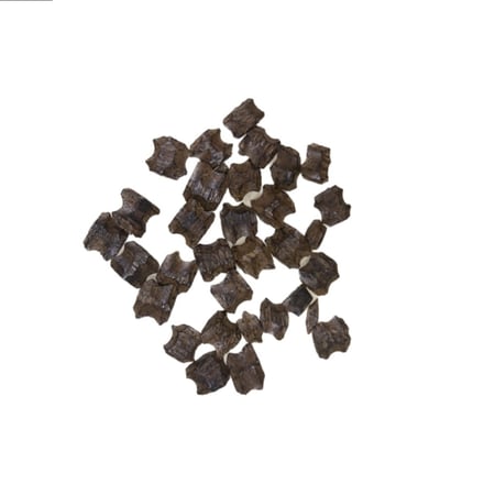 عود فراشة فيتنامي