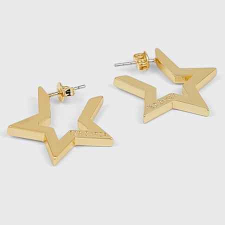 Ted Baker earrings