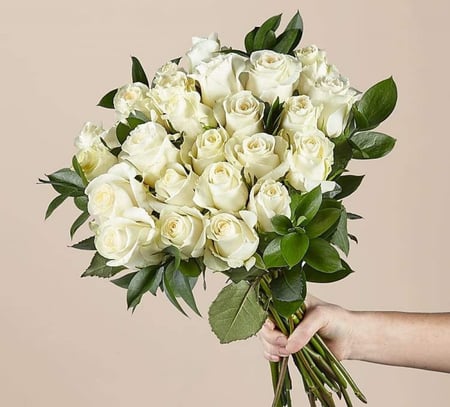 فازه ورد