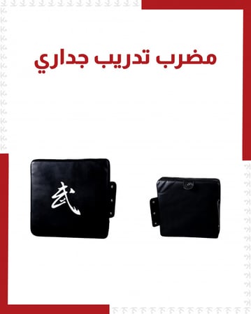 مضرب تدريب جداري