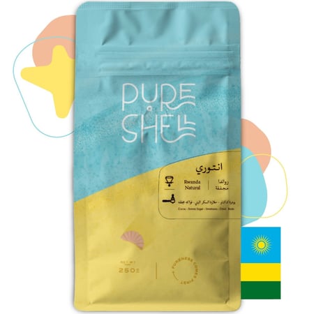 انتوري - روندي - مجفف - 250g