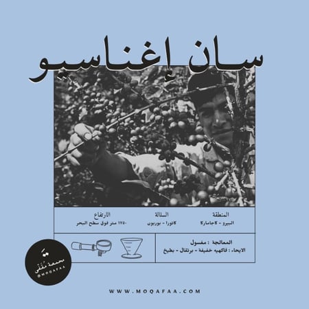 قهوة البيرو - سان إغناسيو