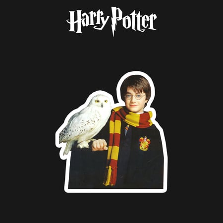 HARRY POTTER | هاري بوتر