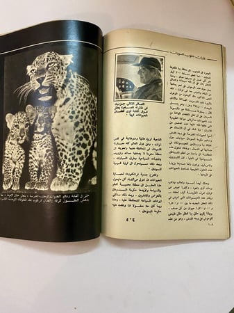 مجلة الهلال مجلة الفكر العربي غابات جنوب السودان 1981