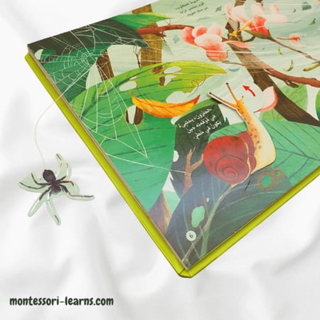 مملكة الحيوان ( الحشرات)