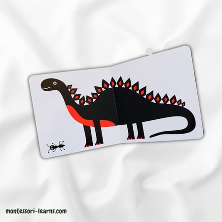 طفل منتسوري كبير أم صغير