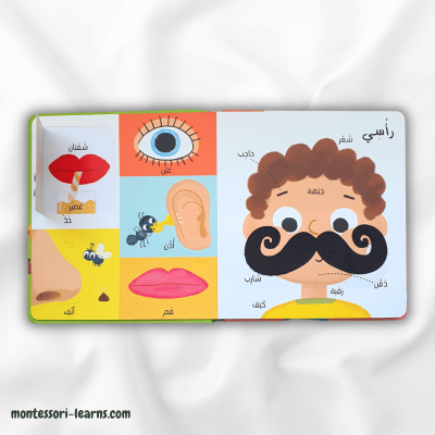 أول 100 كلمة جسمي