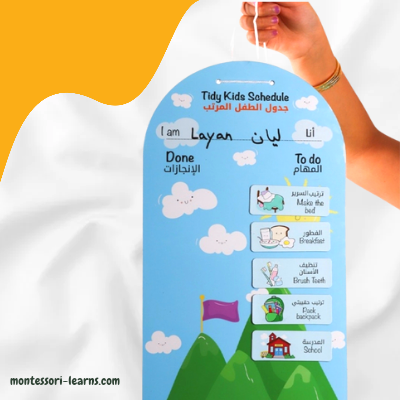جدول الطفل المرتب