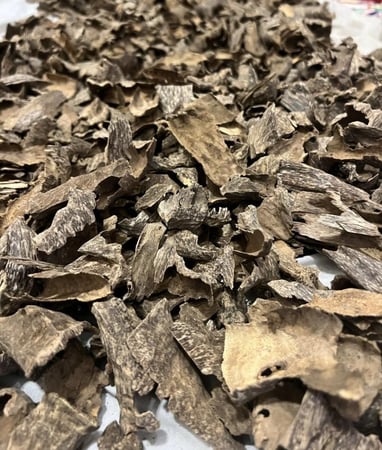 عود زوايا فيتنامي فاخر