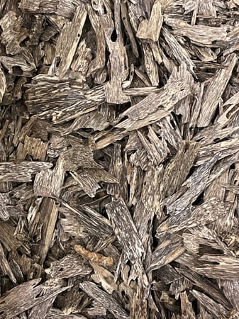 عود كلمنتان بونتيانك