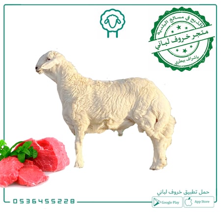 نصف حري وسط