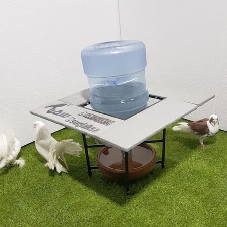 سقايات الطيور