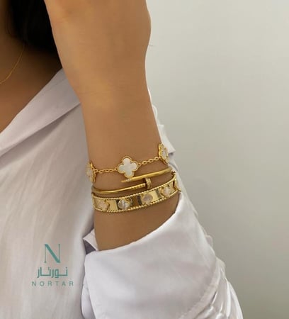 بكج اساور ماستر