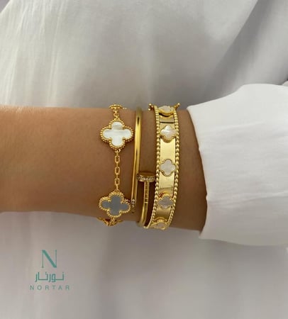 بكج اساور ماستر