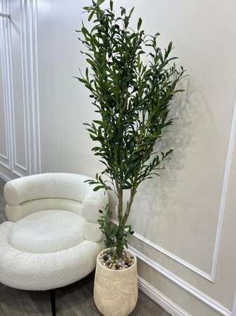 شجر مركن سراميك