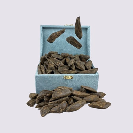 بكج عاشق العود