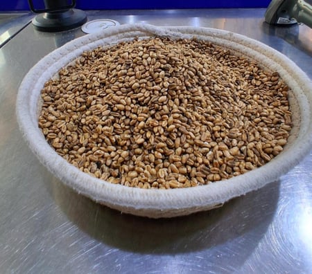 حب قليه محموص للكيلو