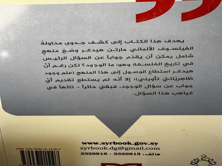 الضياع الأنطولوجي في فلسفة مارتن هيدغر