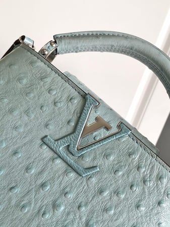 لوي فيتون Capucines مقاس 21cm