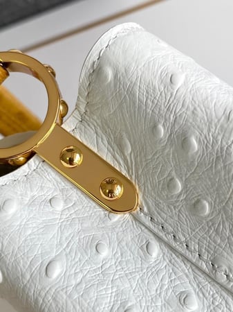 لوي فيتون Capucines مقاس 21cm