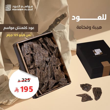 عود كلمنتان مواسم