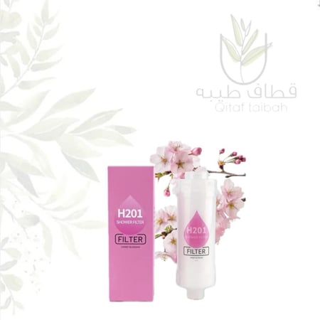 فلتر دش استحمام