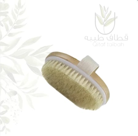 فرشاة الفريش الجاف