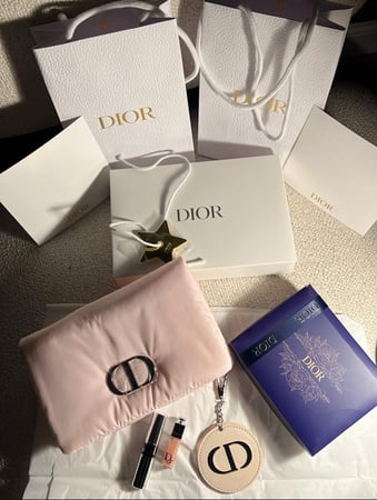 Dior bag الموسميه