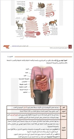 ملزمة الرخصة المهنية علوم 1 pdf