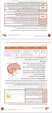 ملزمة الرخصة المهنية علوم 2 pdf