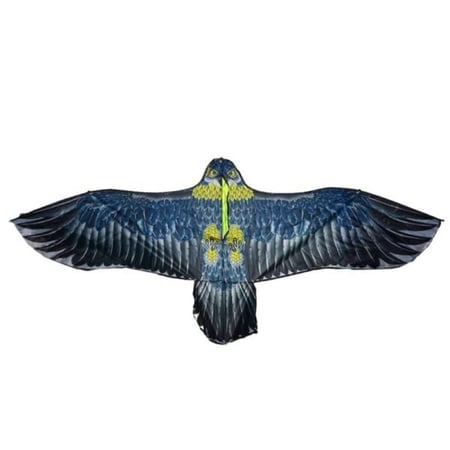 طائره شراعيه على شكل نسر