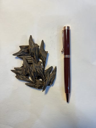 محسن كمبودي ( تايقر ).