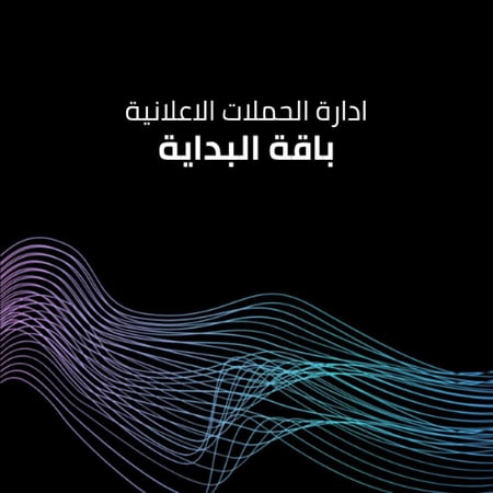 باقة البداية - Paid Ads Management