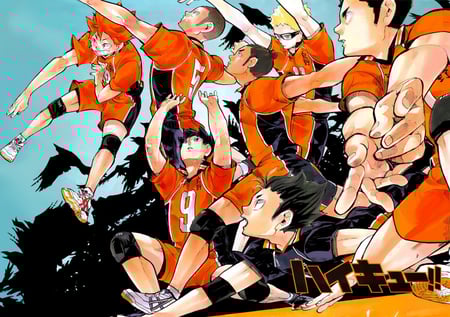 Haikyuu!!  (4)