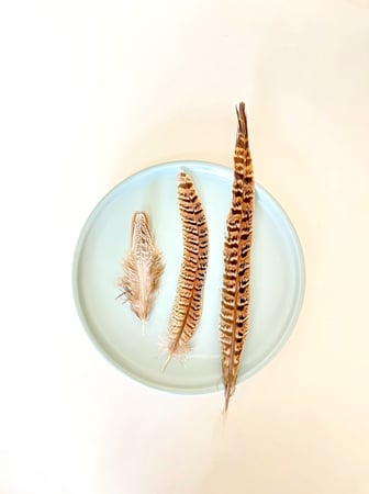 ريش طبيعي لألعاب القطط