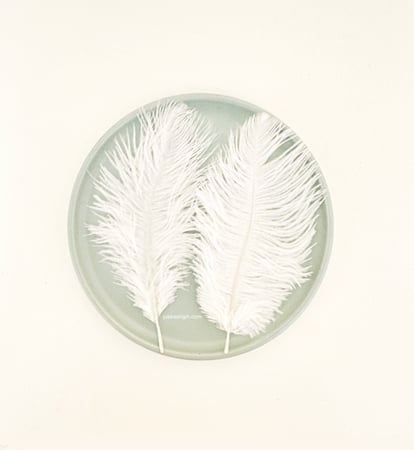 ريش طبيعي لألعاب القطط