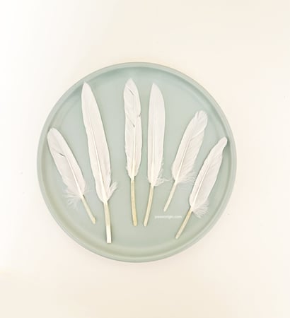 ريش طبيعي لألعاب القطط