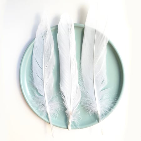 ريش طبيعي لألعاب القطط