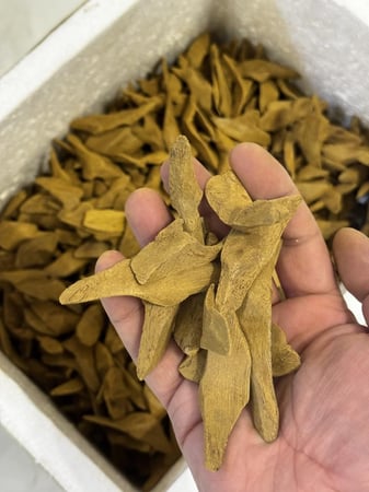 اللاوسي المحسن الملكي